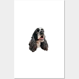 American Cocker Spaniel Posters and Art